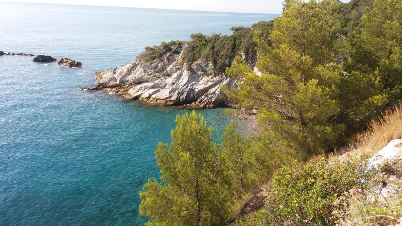 Apartament Una Finestra Sul Mare Monolocale Bergeggi Zewnętrze zdjęcie